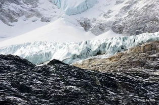 冰川属于什么生态系统