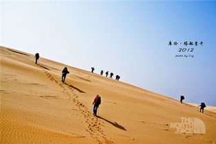 沙漠旅游团
